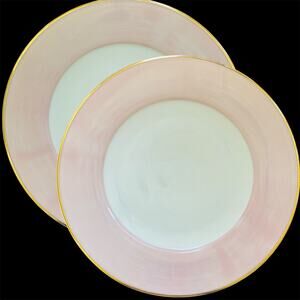 2 Spal Porcelanas 11" Brushed Pink Gold Trim Dinner Plates Porcelain Plate Set